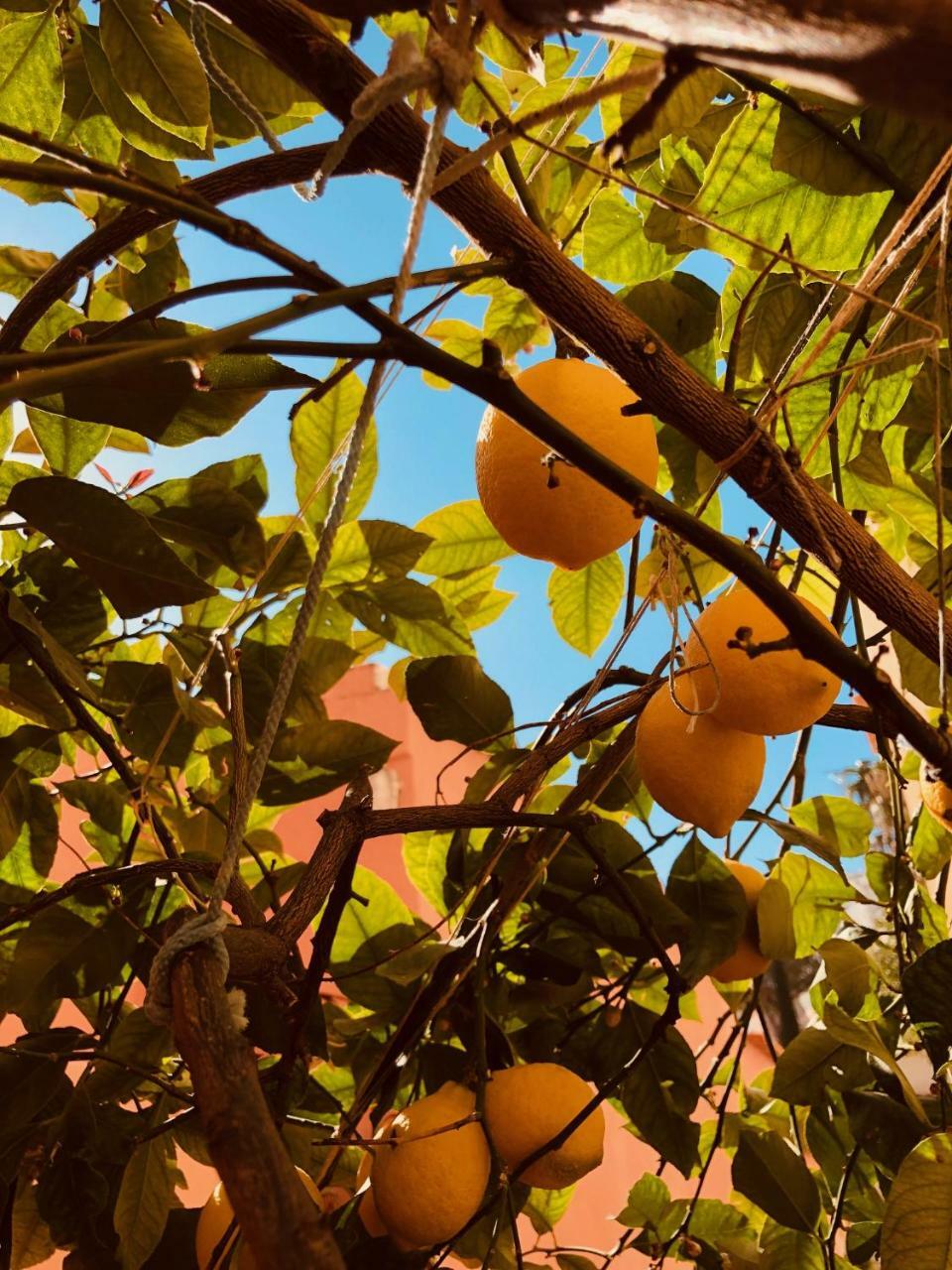 A Casa Dei Sasso Villa Positano Eksteriør bilde